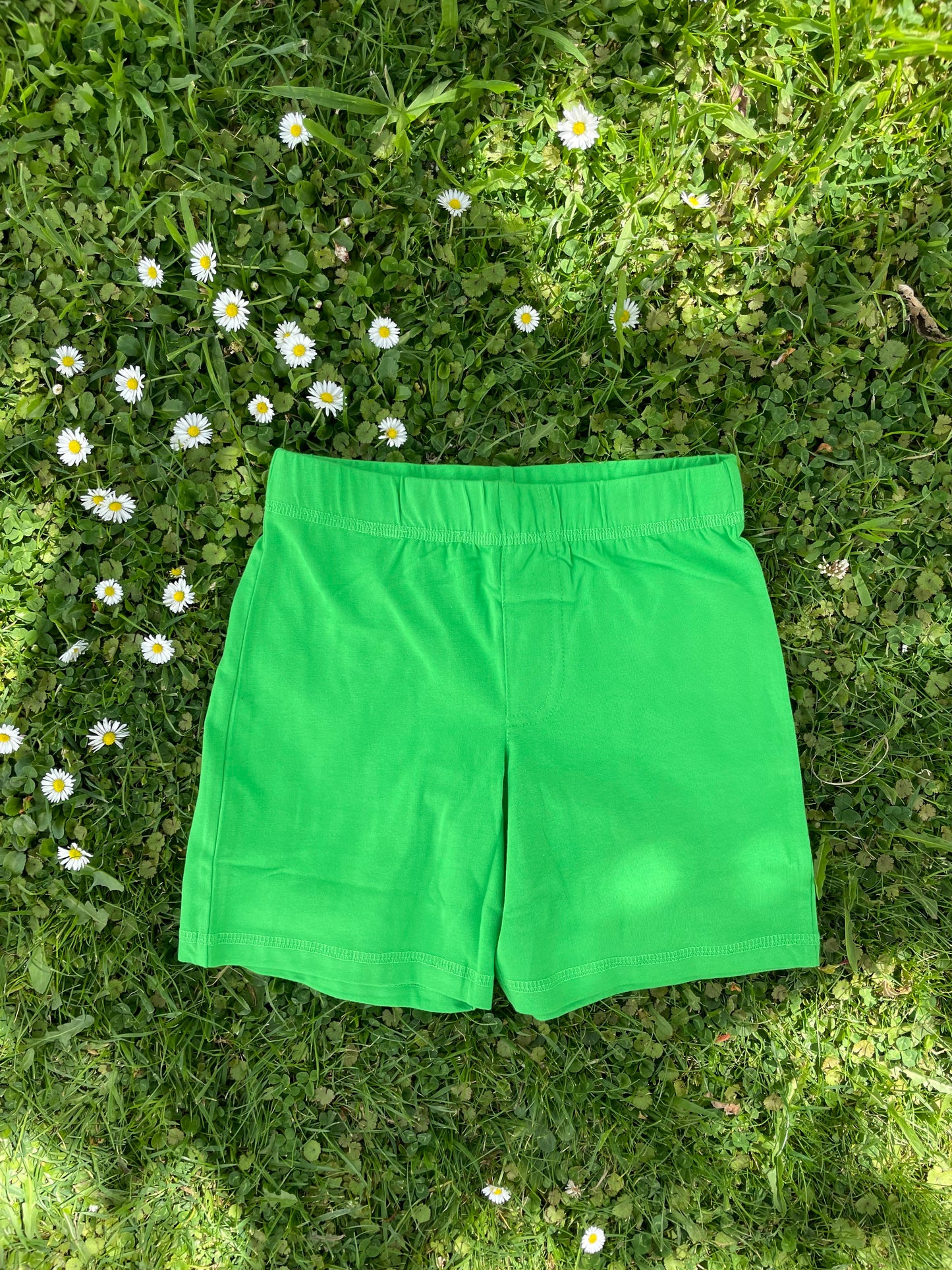 More Than a Fling - Short pants - Classic Green